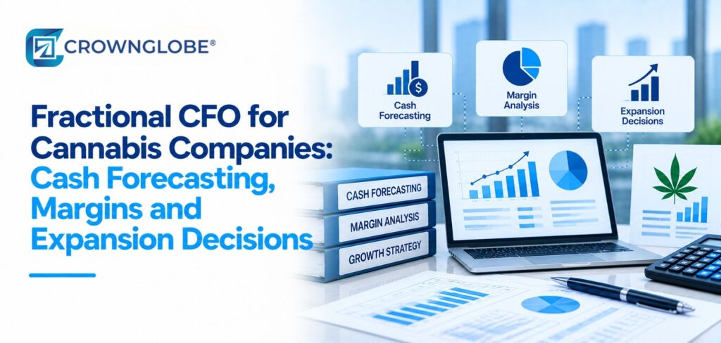 Fractional CFO for Cannabis Companies: Cash Forecasting, Margins and Expansion Decisions