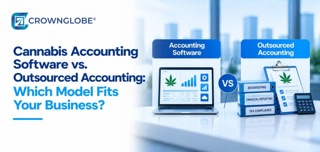 Cannabis Accounting Software vs. Outsourced Accounting: Which Model Fits Your Business?